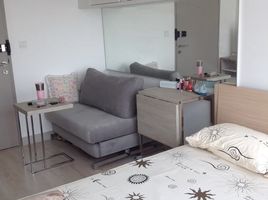 Studio Apartment for rent at Ideo Mobi Sukhumvit 81, Bang Chak