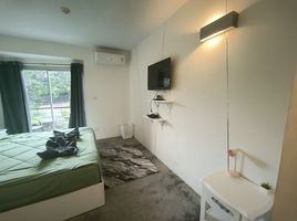 Studio Appartement zu vermieten im Replay Residence & Pool Villa, Bo Phut
