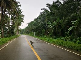  Grundstück zu verkaufen in Thai Mueang, Phangnga, Lam Phi