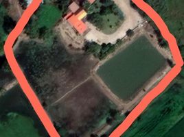  Land for sale in Mueang Kamphaeng Phet, Kamphaeng Phet, Nakhon Chum, Mueang Kamphaeng Phet