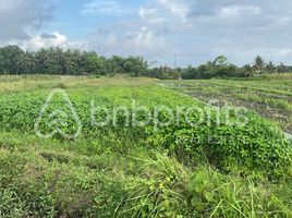  Grundstück zu verkaufen in Tabanan, Bali, Kediri