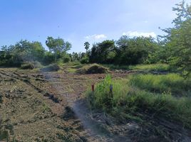  Land for sale in Noen Kham, Noen Kham, Noen Kham