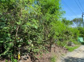  Land for sale in Sai Noi, Sai Noi, Sai Noi