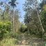 Grundstück zu verkaufen in Hua Hin, Prachuap Khiri Khan, Nong Phlap
