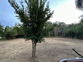  Land for sale at Yamu Hills, Pa Khlok, Thalang