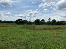  Grundstück zu verkaufen in Nong Ruea, Khon Kaen, Nong Ruea, Nong Ruea