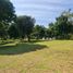  Land for sale in Huai Sak, Chiang Rai, Huai Sak, Mueang Chiang Rai, Chiang Rai