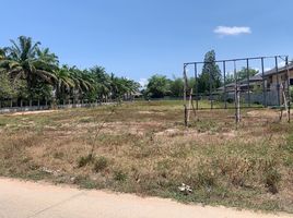  Land for sale in Wat Thepphabut, Huai Yai, Huai Yai