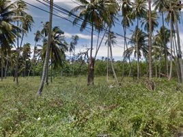  Land for sale in Maenam, Koh Samui, Maenam