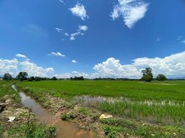  Land for sale in Samran Rat, Doi Saket, Samran Rat