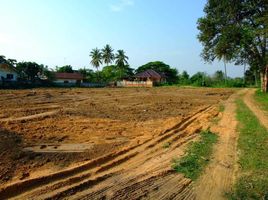  Grundstück zu verkaufen in Pran Buri, Prachuap Khiri Khan, Pran Buri, Pran Buri, Prachuap Khiri Khan