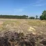  Land for sale in Yawuek, Surin, Yawuek, Chumphon Buri, Surin