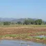  Grundstück zu verkaufen in San Sai, Chiang Mai, Nong Yaeng