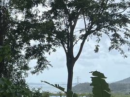  Land for sale in Phuket, Mai Khao, Thalang, Phuket