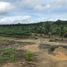  Land for sale in Amazonas, Presidente Figueiredo, Presidente Figueiredo, Amazonas