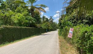 N/A Land for sale in Mae Faek Mai, Chiang Mai 