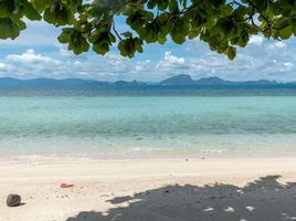  Grundstück zu verkaufen in Koh Samui, Surat Thani, Taling Ngam