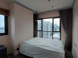 1 Schlafzimmer Appartement zu vermieten im Wyne Sukhumvit, Phra Khanong, Khlong Toei