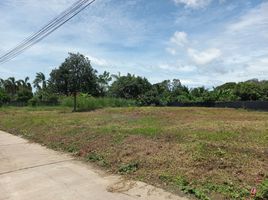  Grundstück zu verkaufen in Tha Muang, Kanchanaburi, Phang Tru