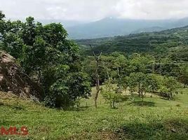  Grundstück zu verkaufen in Tamesis, Antioquia, Tamesis