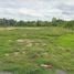  Land for sale in Mueang Lamphun, Lamphun, Ban Paen, Mueang Lamphun