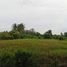  Land for sale in Ban Pong, Ratchaburi, Nakhon Chum, Ban Pong