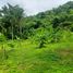  Land for sale in Chalong, Phuket Town, Chalong