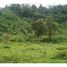  Land for sale in Golfito, Puntarenas, Golfito