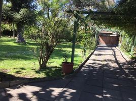  Land for sale at La Reina, San Jode De Maipo