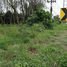  Land for sale in Thao Thep Kasattri Thao Sri Sunthon Monument, Si Sunthon, Si Sunthon