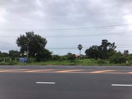  Land for sale in Tat Thong, Mueang Yasothon, Tat Thong