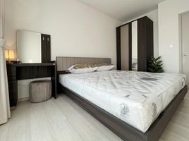 1 Schlafzimmer Appartement zu vermieten im Life Sukhumvit 48, Phra Khanong