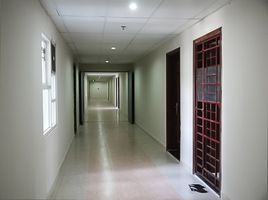 3 Schlafzimmer Wohnung zu vermieten im Bàu Cát II, Ward 10