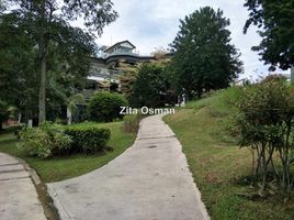  Land for sale in Malaysia, Bukit Raja, Petaling, Selangor, Malaysia
