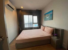 1 Bedroom Condo for rent at Chapter One Midtown Ladprao 24, Chomphon