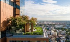 Фото 2 of the Communal Garden Area at The Room Sukhumvit 38