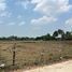  Land for sale in Maha Sarakham, Tha Khon Yang, Kantharawichai, Maha Sarakham