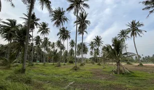 N/A Land for sale in Ang Thong, Hua Hin 
