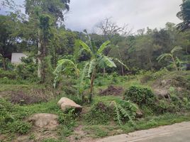 ขายที่ดิน ใน เมืองภูเก็ต ภูเก็ต, ฉลอง