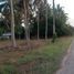  Land for sale in Prachuap Khiri Khan, Saeng Arun, Thap Sakae, Prachuap Khiri Khan