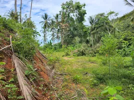  Grundstück zu verkaufen in Koh Samui, Surat Thani, Maret