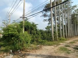  Grundstück zu verkaufen in Bang Pa-In, Phra Nakhon Si Ayutthaya, Khlong Chik, Bang Pa-In