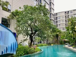 1 Schlafzimmer Wohnung zu vermieten im Dcondo Reef Phuket, Kathu, Kathu, Phuket, Thailand
