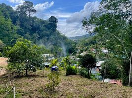  Land for sale in Patong, Kathu, Patong