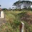  Land for sale in Mueang Lop Buri, Lop Buri, Khao Sam Yot, Mueang Lop Buri