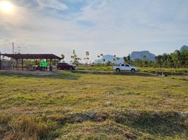  Land for sale in Nong Chumphon, Khao Yoi, Nong Chumphon