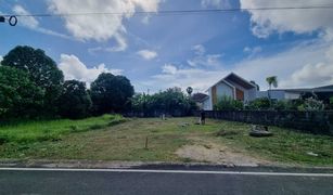 N/A Land for sale in Choeng Thale, Phuket 