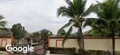 Street View of Coconut Garden