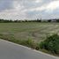  Land for sale in Nakhon Pathom, Bang Krathuek, Sam Phran, Nakhon Pathom