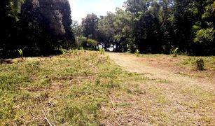 N/A Land for sale in Rawai, Phuket 